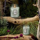 Voluspa Large Jar Candle - French Cade & Lavender thumbnail