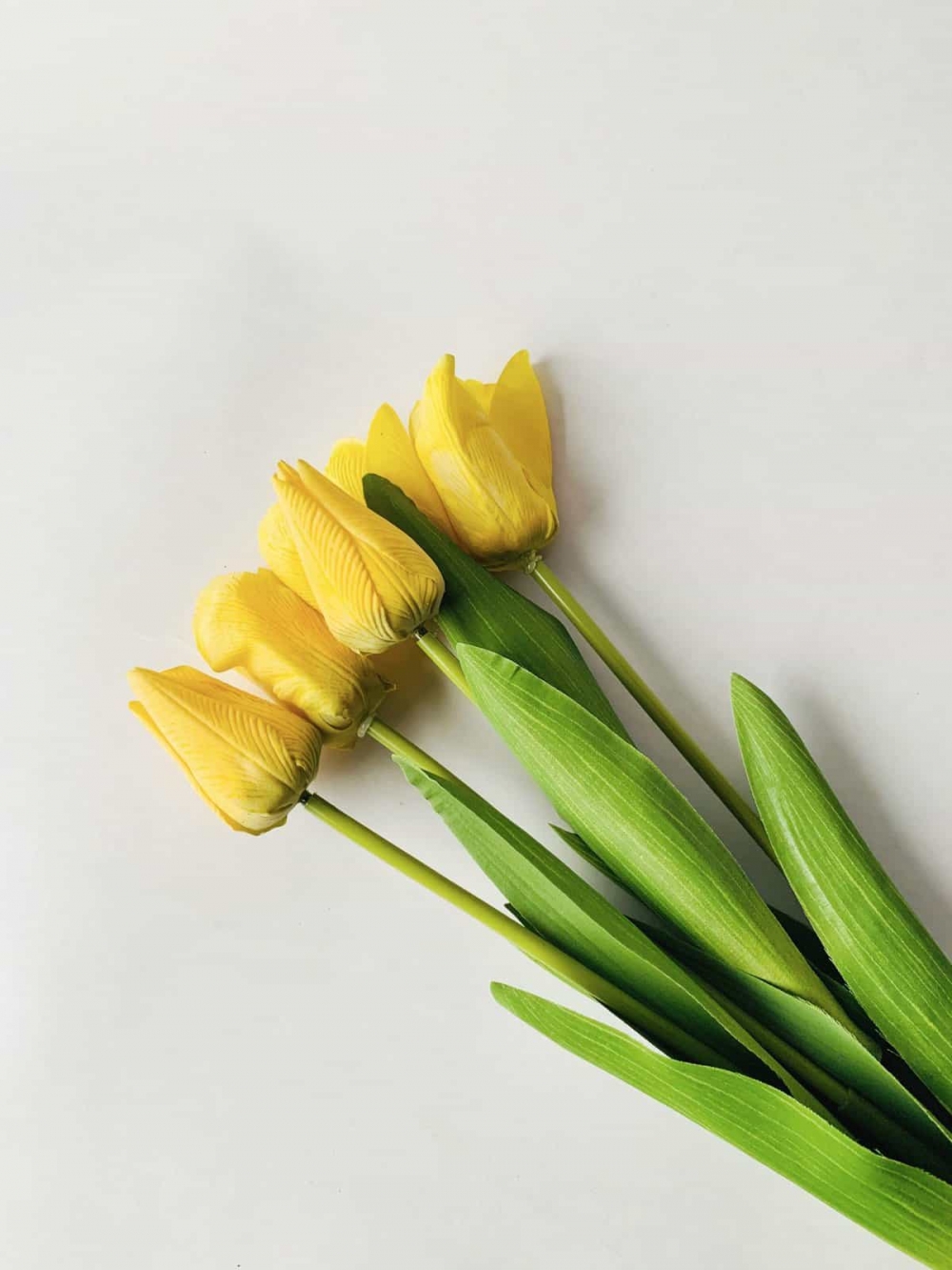 Fem flotte tulipaner med en troverdig look på kronbladene. Kjennes ut som ekte blomsterblader. 