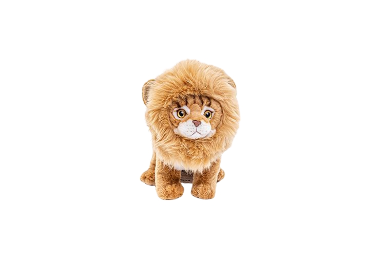 Koselig liten kattunge med løveman. Med myk og deilig pels. Morsom å leke med og myk å klemme. 