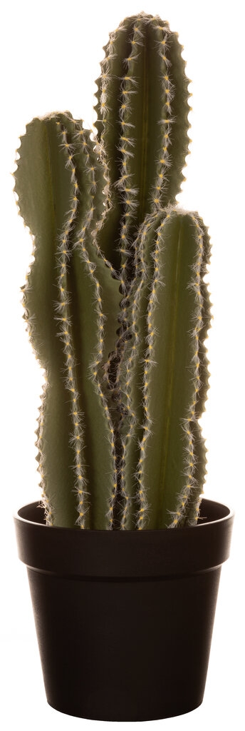 Stor, kunstig kaktus som måler 20x20x61cm.